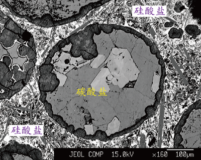 Fig. 4 carbonated melts.png